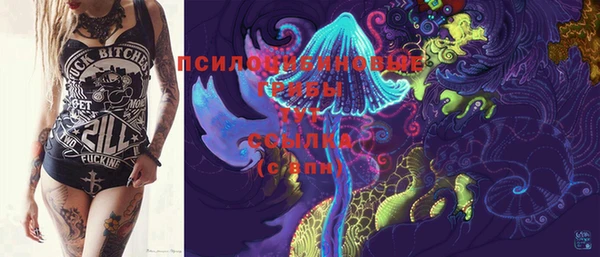 бошки Надым