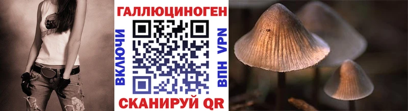 Галлюциногенные грибы мицелий  kraken рабочий сайт  Воронеж  продажа наркотиков 